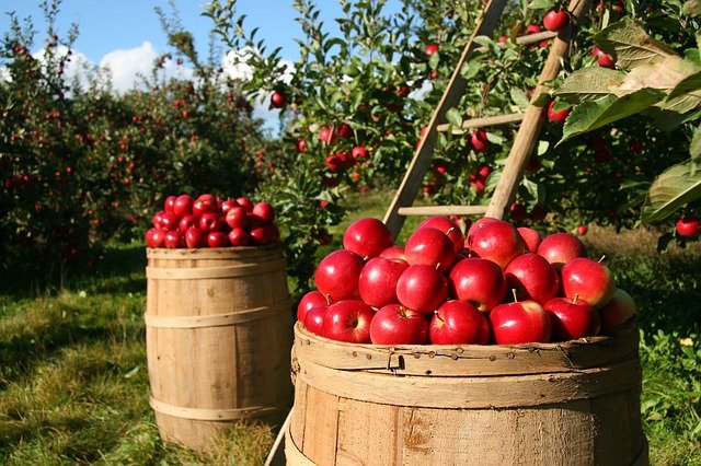 „Fürstenberger Apfelsaft“