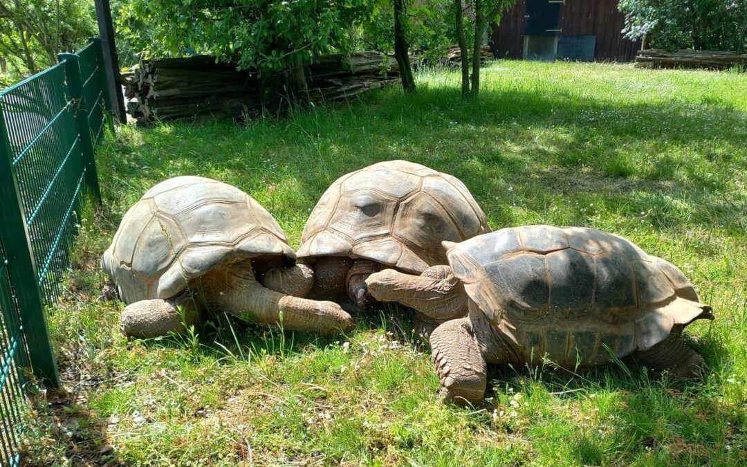 Ausflug in den Zoo